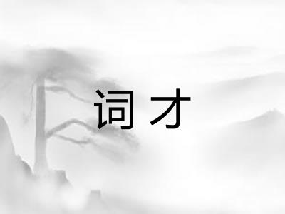 词才