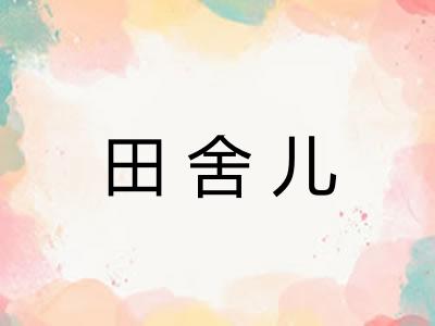 田舍儿