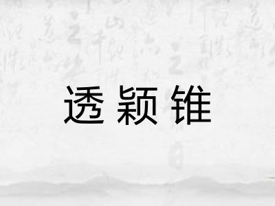 透颖锥