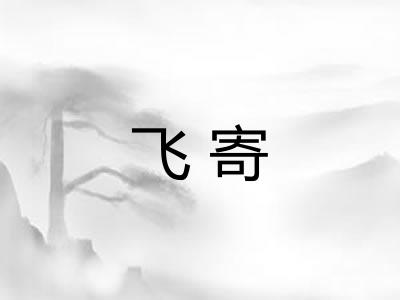 飞寄