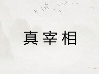 真宰相