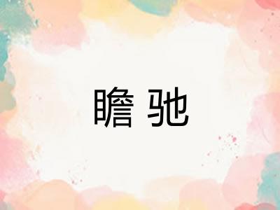 瞻驰