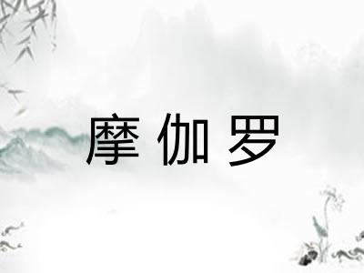 摩伽罗