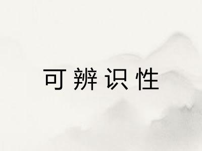可辨识性