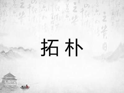 拓朴