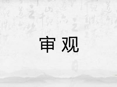 审观
