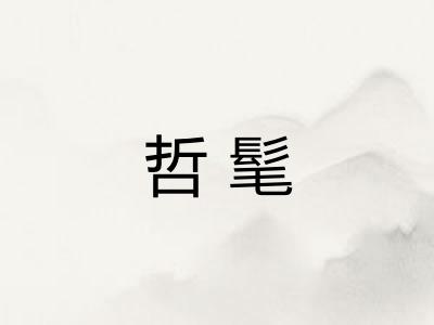 哲髦