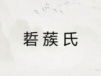 硩蔟氏