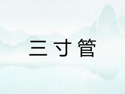 三寸管