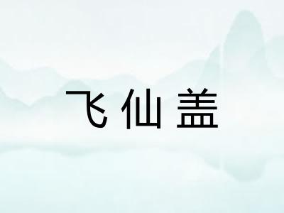 飞仙盖