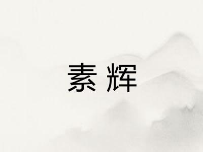 素辉