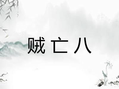 贼亡八