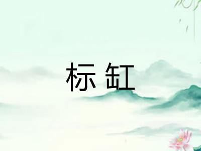 标缸