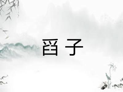 舀子