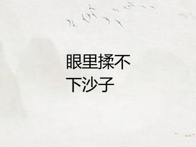 眼里揉不下沙子
