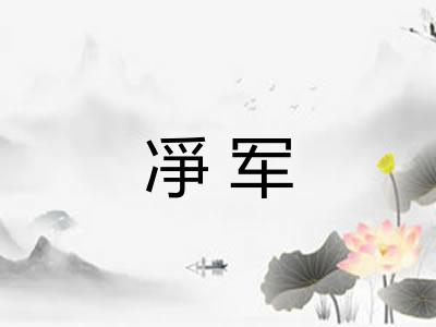 凈军