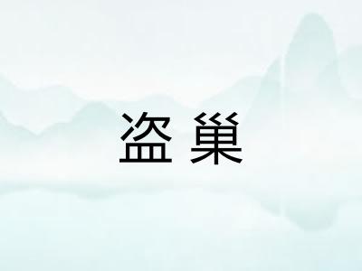 盗巢