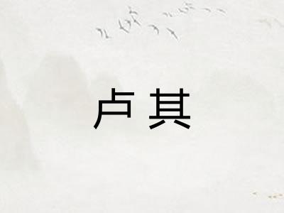 卢其