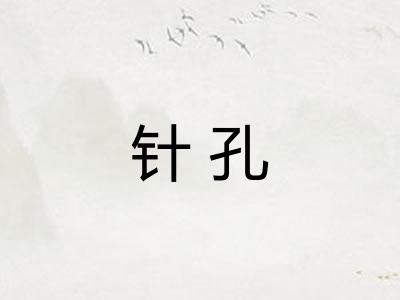 针孔
