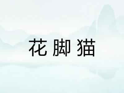 花脚猫