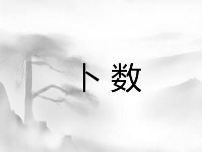 卜数