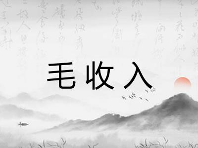 毛收入
