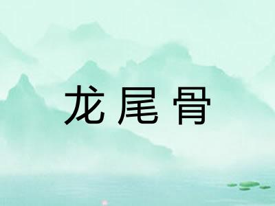 龙尾骨