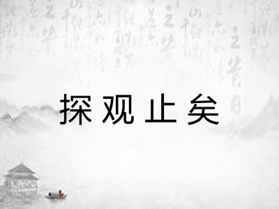 探观止矣