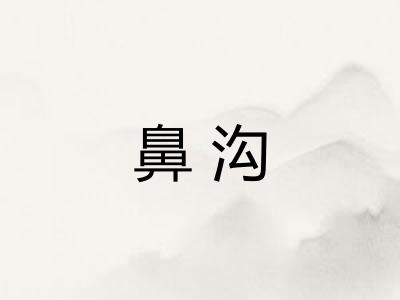 鼻沟