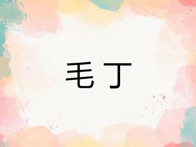 毛丁