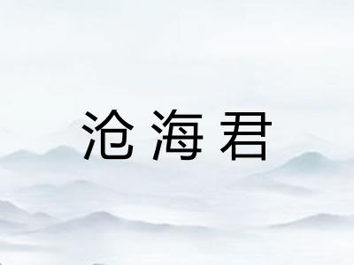 沧海君