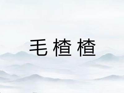 毛楂楂