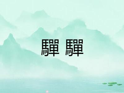 驒驒
