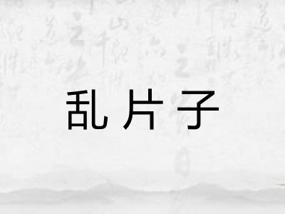 乱片子