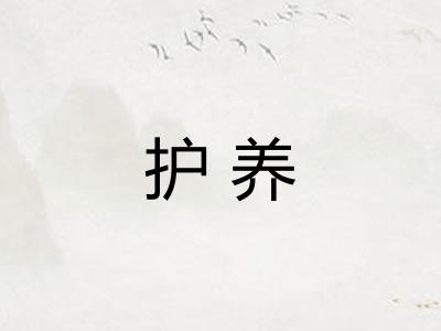 护养
