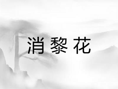 消黎花