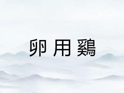 卵用鷄