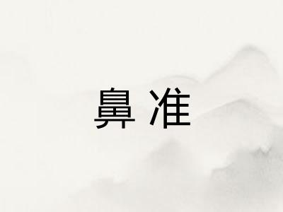 鼻准