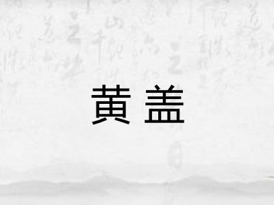 黄盖