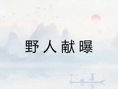 野人献曝