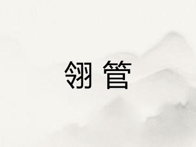 翎管