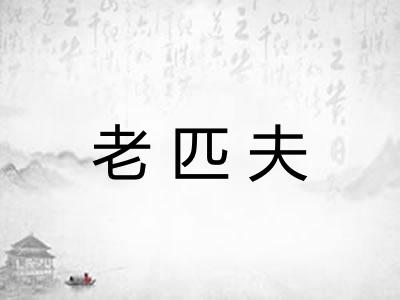 老匹夫