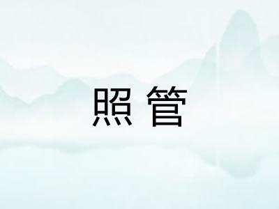 照管
