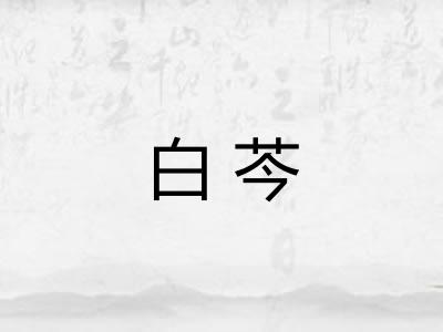 白芩