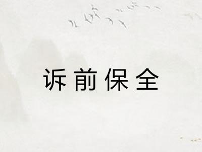诉前保全