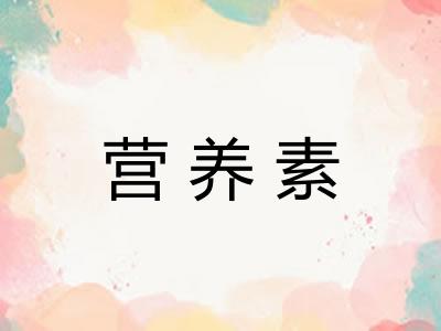 营养素