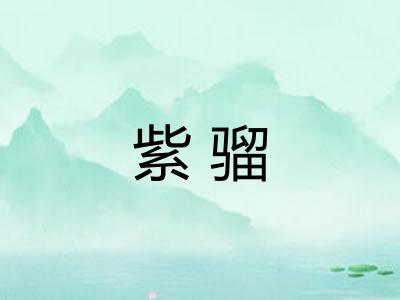 紫骝