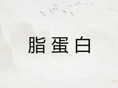 脂蛋白