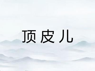 顶皮儿