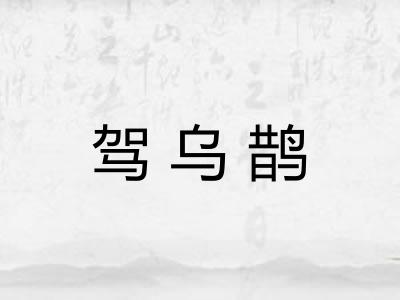 驾乌鹊